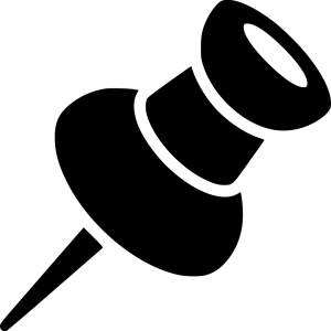 Pin PNG