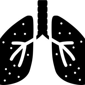 Lungs PNG