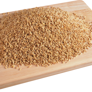 Wheat PNG