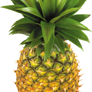Pineapple fruit PNG image