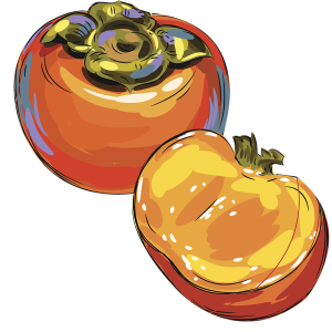 Persimmon PNG