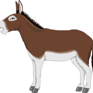 Donkey PNG