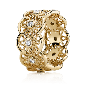 Jewelry PNG image