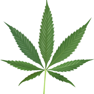 Cannabis PNG