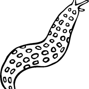 Slug PNG