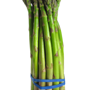 Asparagus PNG