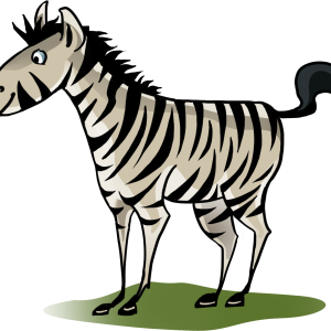 Zebra PNG image