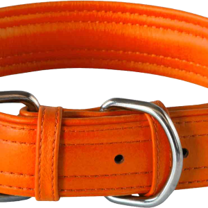 Dog collar PNG