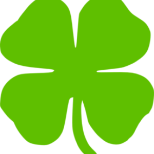 Clover PNG