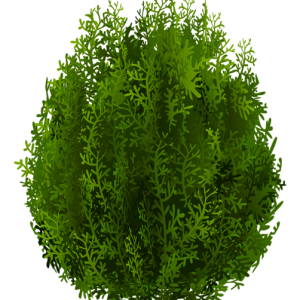 tree PNG