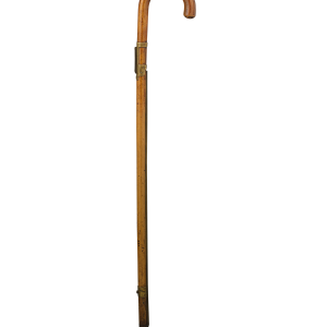 Walking stick PNG