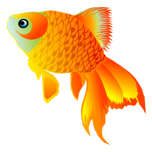 Goldfish PNG