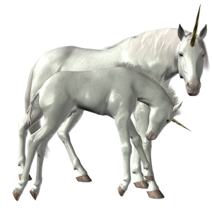 Unicorn PNG