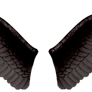 Wings PNG
