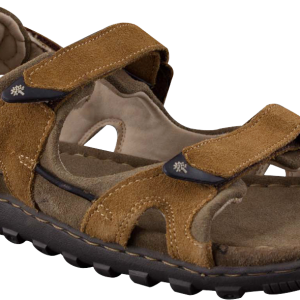 Sandals PNG image