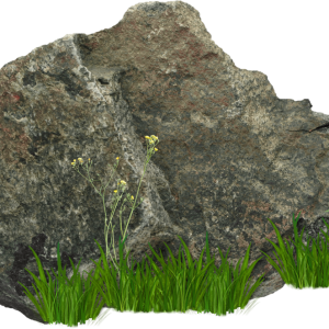 rock PNG