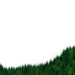 Forest PNG