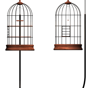 Cage bird PNG