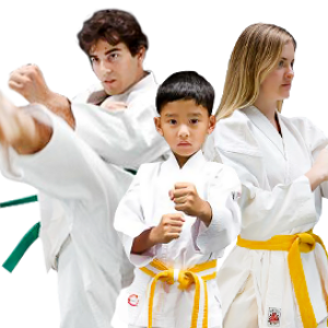 Karate PNG