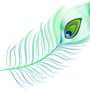green feather PNG
