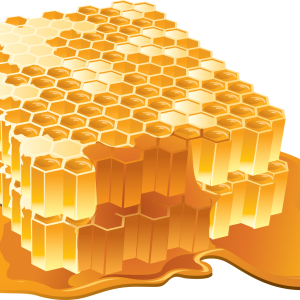 Honey PNG