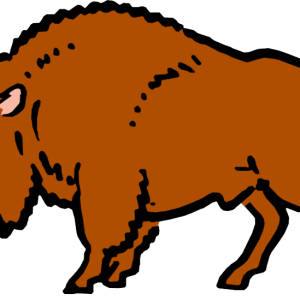 Bison PNG