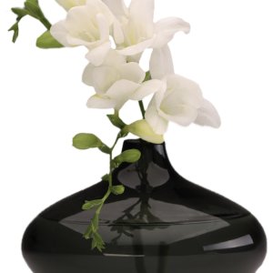 Vase PNG