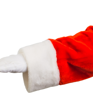 Santa Claus hand PNG