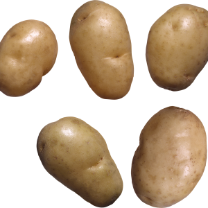 5 Potatoes PNG picture