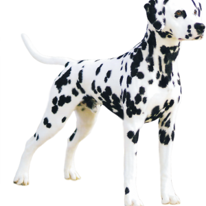 Dalmatian PNG