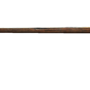 Walking stick PNG