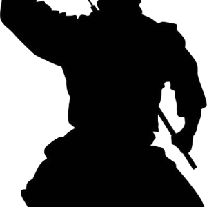 Ninja PNG
