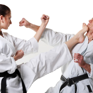 Karate PNG