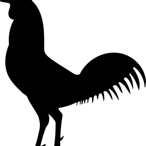 Cock PNG