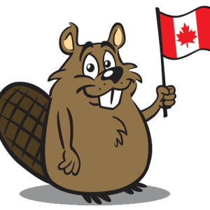 Beaver PNG