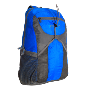 Backpack PNG image