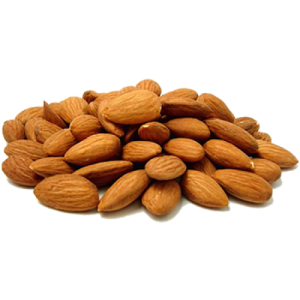 Almond PNG