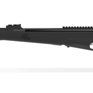 Carabine PNG