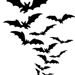 Bat PNG