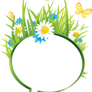 Floral frame PNG