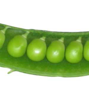 Pea PNG