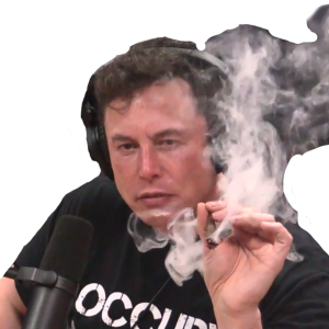 Elon Musk PNG