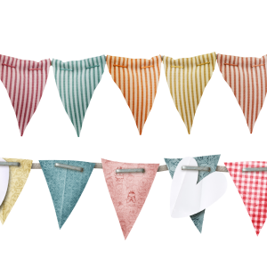 Party flags PNG