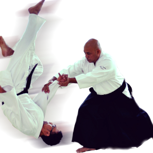 Aikido PNG