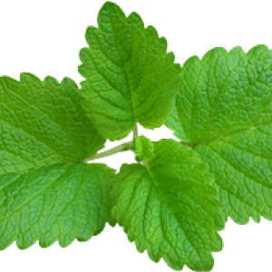 Pepermint PNG