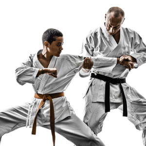 Karate PNG