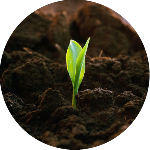 Soil PNG