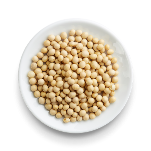 Soybean PNG