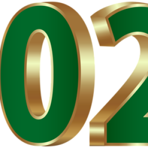 2021 year PNG