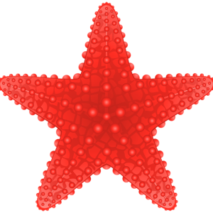 Starfish PNG